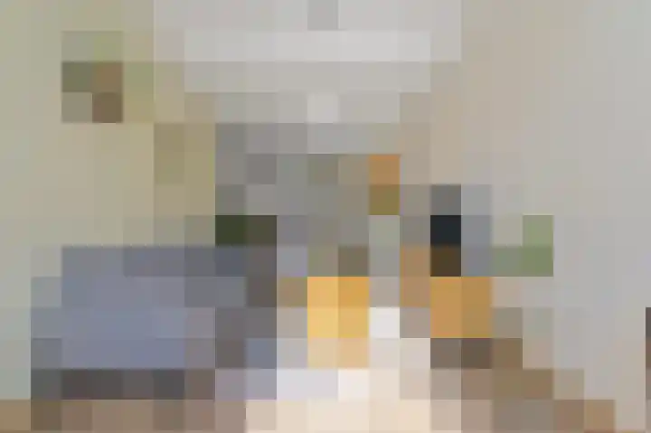 Dijkshoornseweg 22 Den Hoorn thumbnail 8