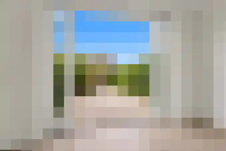 Dijkshoornseweg 221 Den Hoorn thumbnail 15