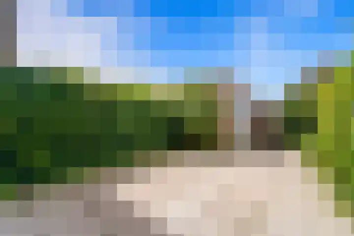 Dijkshoornseweg 221 Den Hoorn thumbnail 18