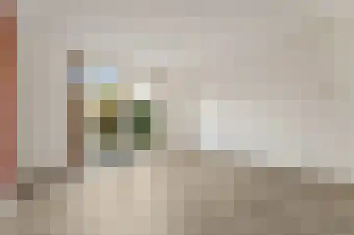 Dijkshoornseweg 225 Den Hoorn thumbnail 10