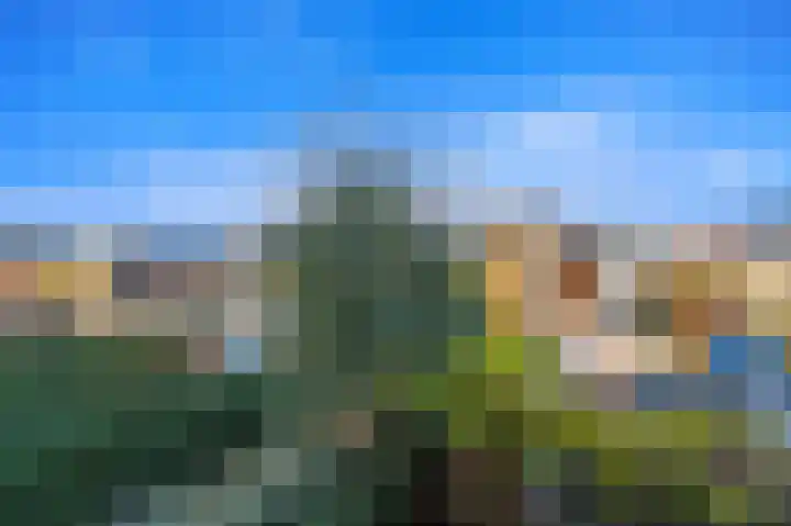 Dijkshoornseweg 225 Den Hoorn thumbnail 25