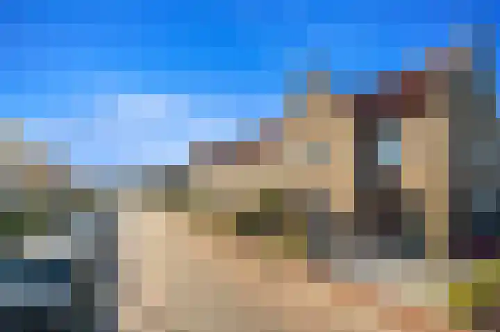 Dijkshoornseweg 225 Den Hoorn thumbnail 4