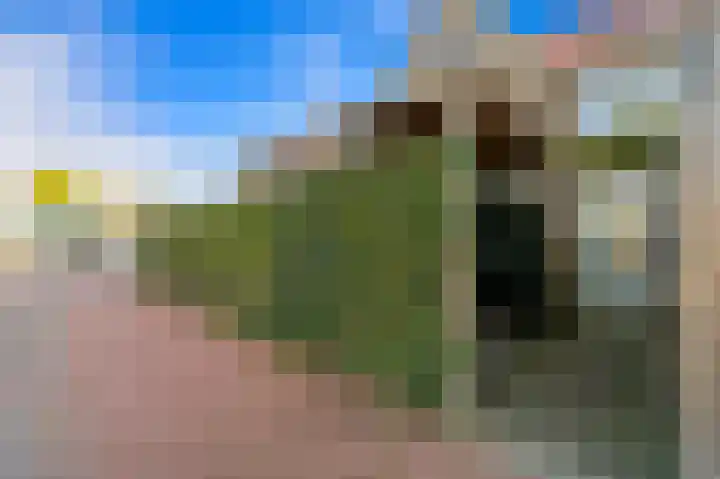 Dijkshoornseweg 225 Den Hoorn thumbnail 43