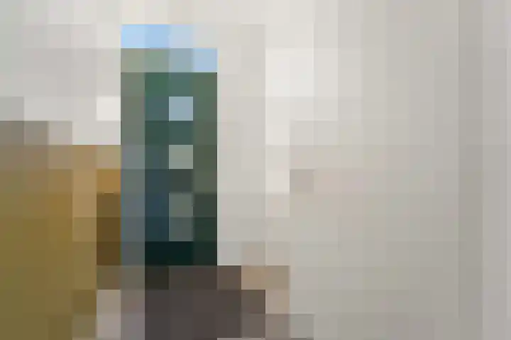 Dijkshoornseweg 225 Den Hoorn thumbnail 8