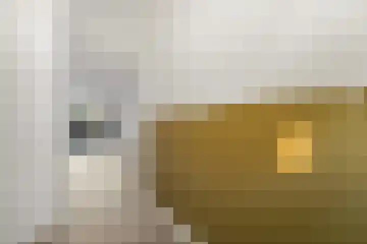 Dijkshoornseweg 225 Den Hoorn thumbnail 9