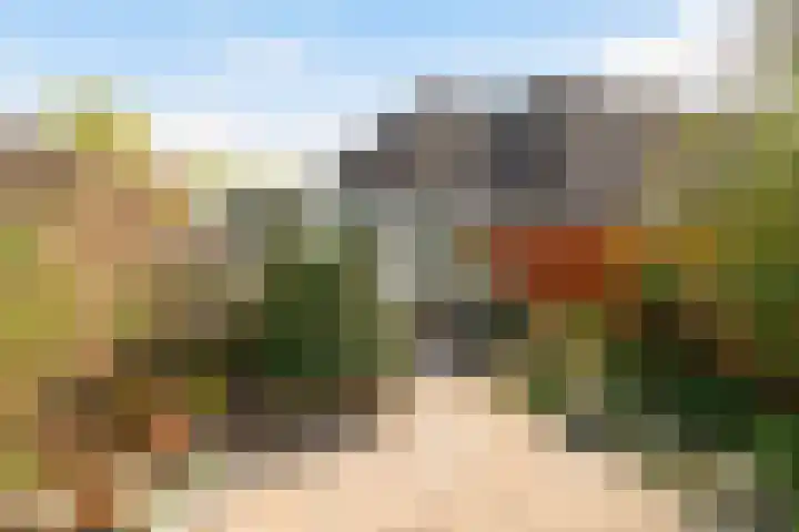 Dijkshoornseweg 24 Den Hoorn thumbnail 14