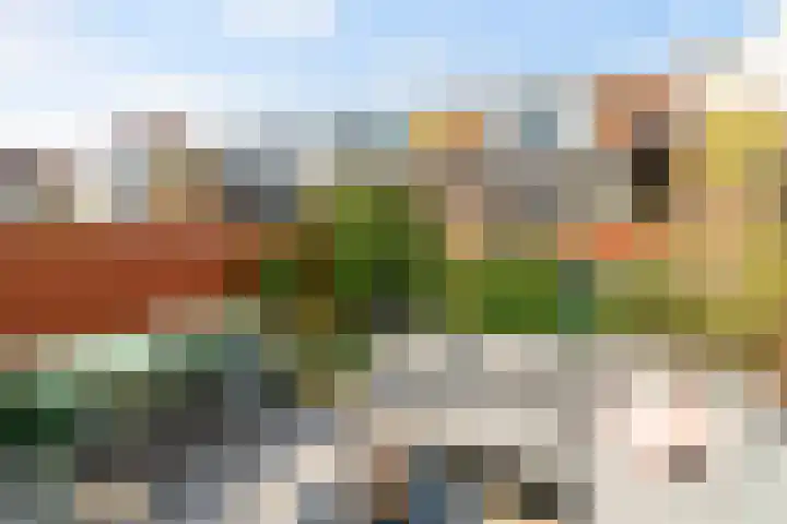 Dijkshoornseweg 24 Den Hoorn thumbnail 18