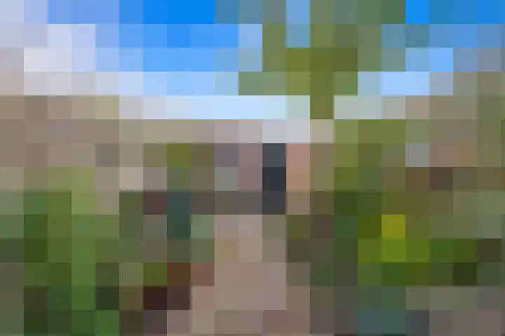 Dijkshoornseweg 30 Den Hoorn thumbnail 5