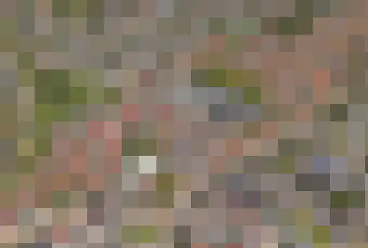 Dijkshoornseweg 30 Den Hoorn thumbnail 6