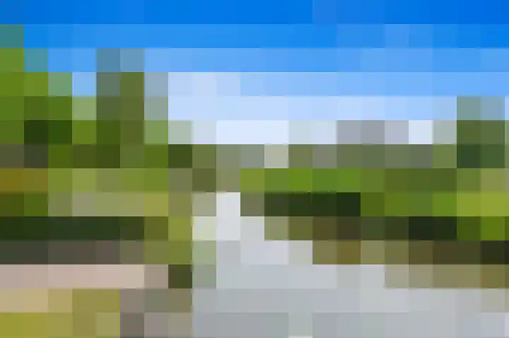 Dijkshoornseweg 35 a Den Hoorn thumbnail 43