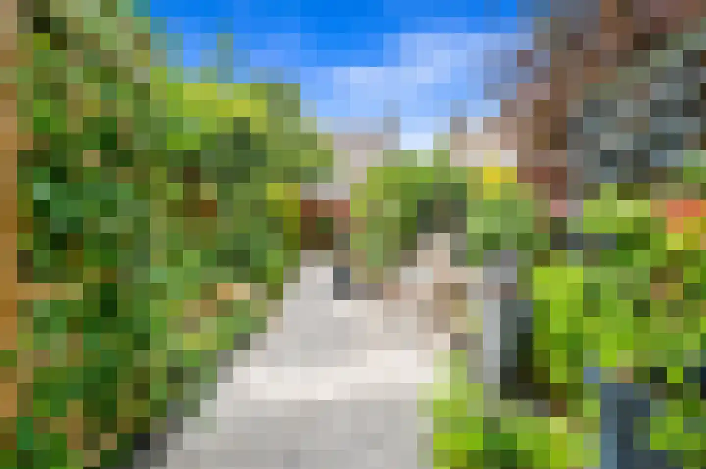 Dijkshoornseweg 69 Den Hoorn thumbnail 15