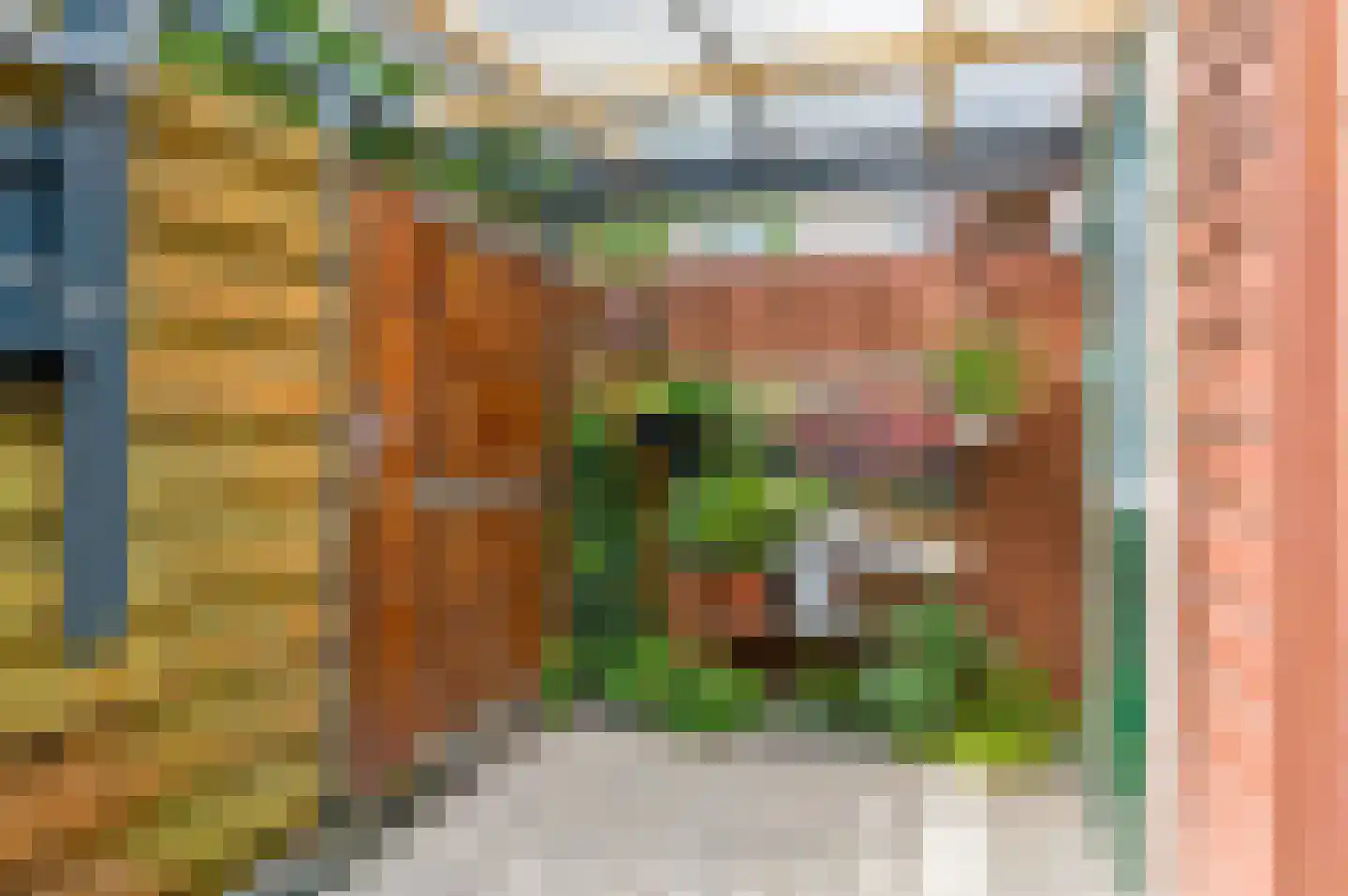 Dijkshoornseweg 69 Den Hoorn thumbnail 17