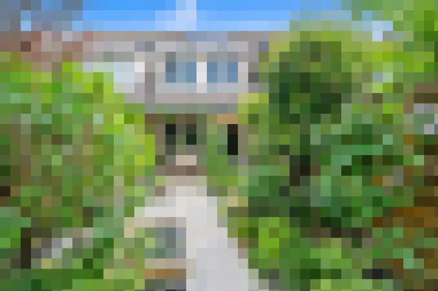 Dijkshoornseweg 69 Den Hoorn thumbnail 20