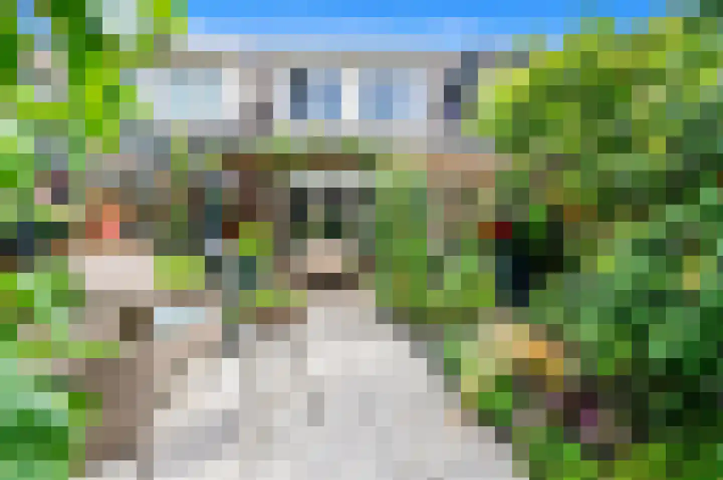 Dijkshoornseweg 69 Den Hoorn thumbnail 21