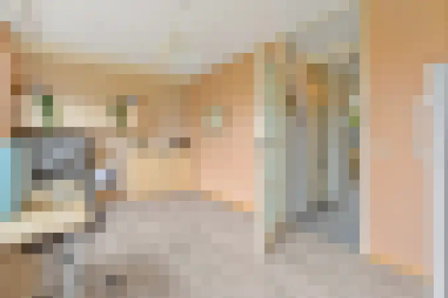 Dijkshoornseweg 69 Den Hoorn thumbnail 34