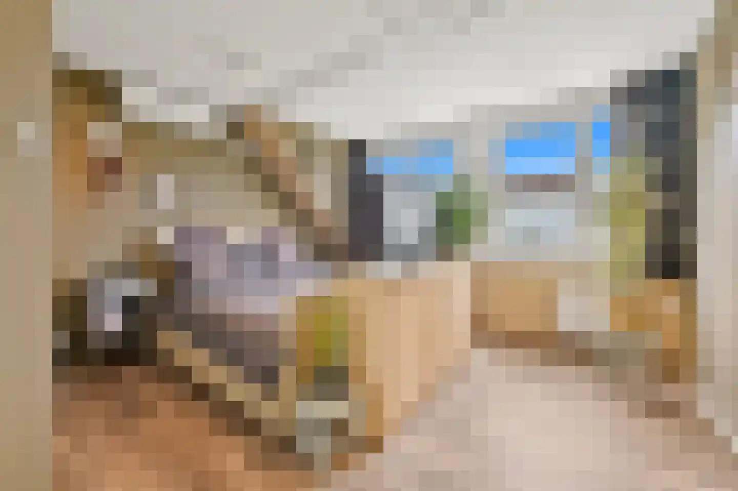 Dijkshoornseweg 69 Den Hoorn thumbnail 37
