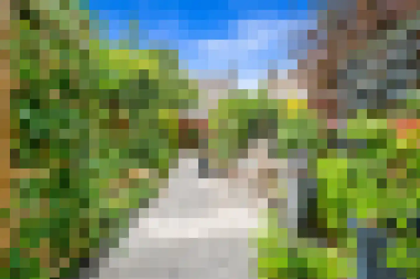 Dijkshoornseweg 69 Den Hoorn thumbnail 4