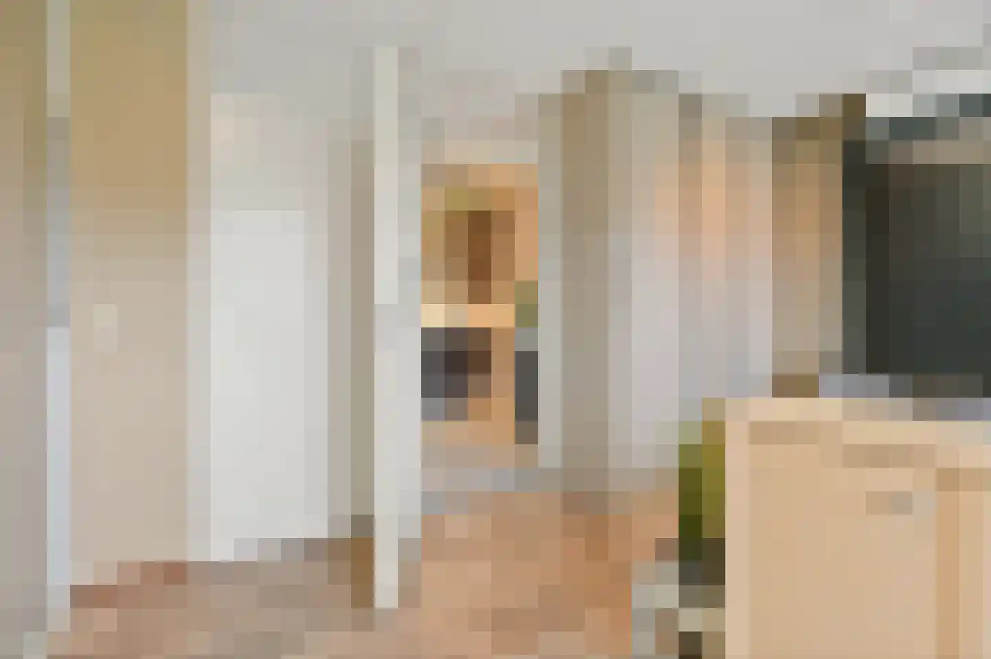 Dijkshoornseweg 69 Den Hoorn thumbnail 40