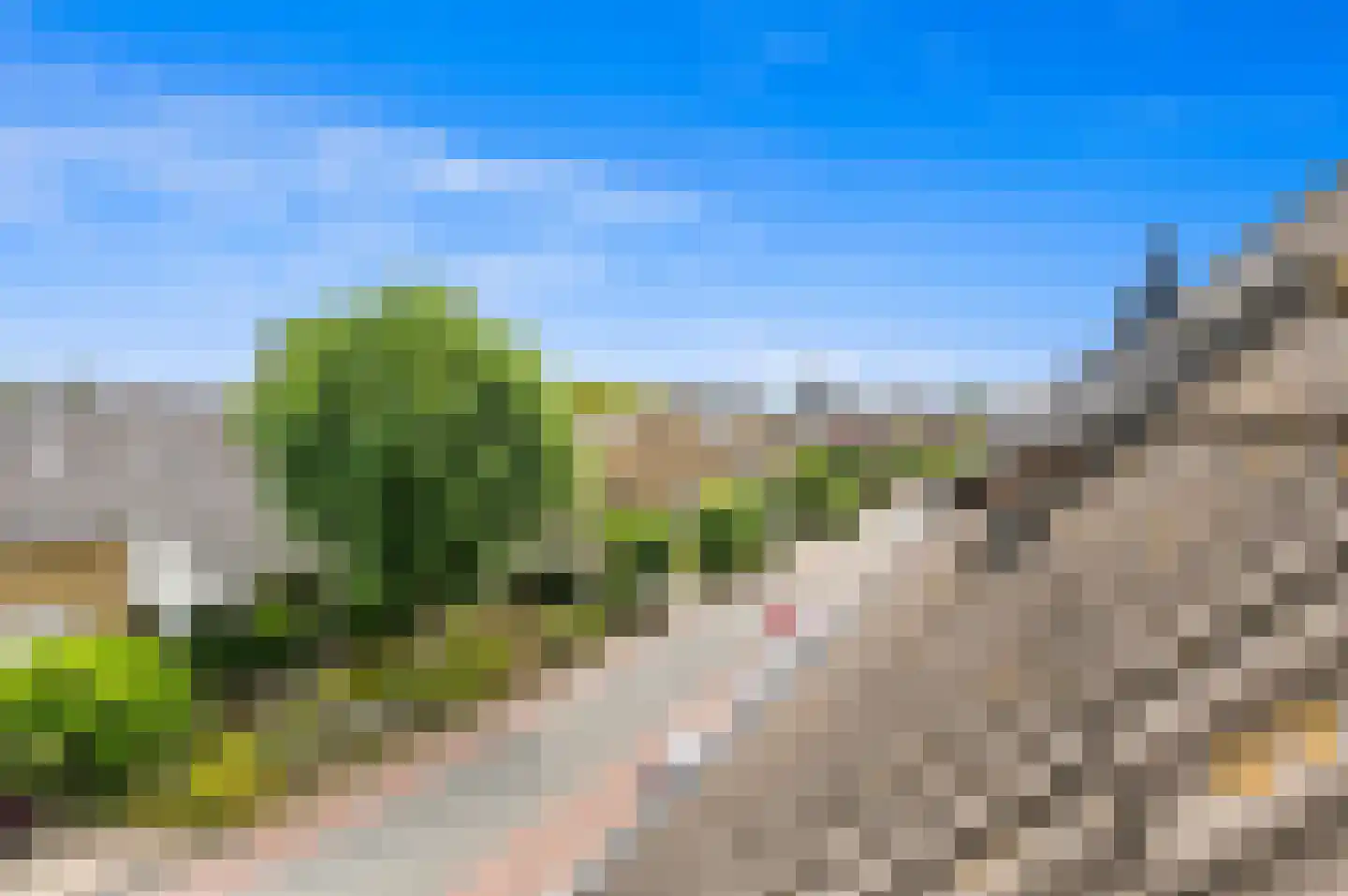 Dijkshoornseweg 69 Den Hoorn thumbnail 46