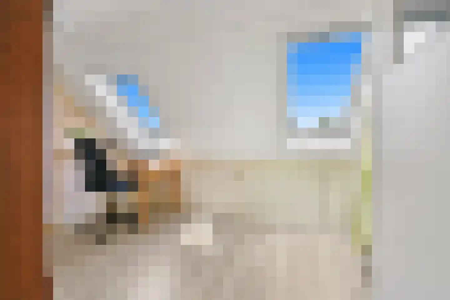 Dijkshoornseweg 69 Den Hoorn thumbnail 48