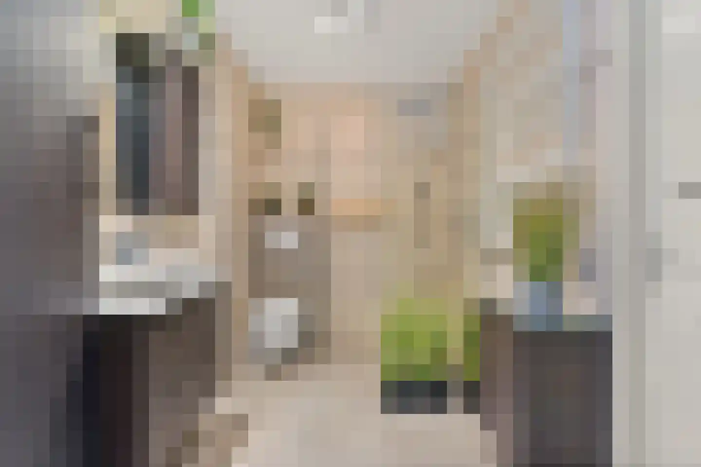 Dijkshoornseweg 69 Den Hoorn thumbnail 5