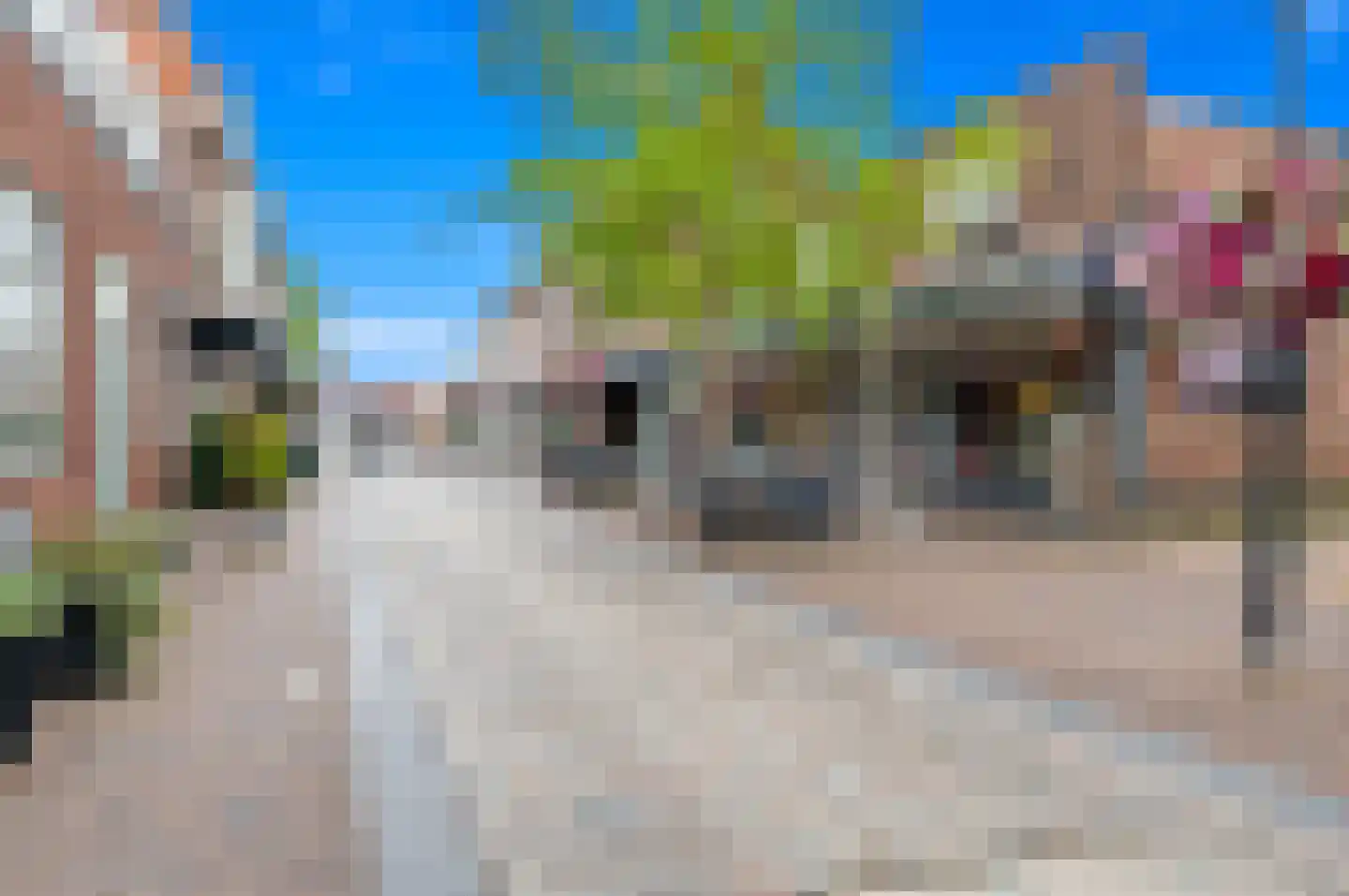 Dijkshoornseweg 69 Den Hoorn thumbnail 57