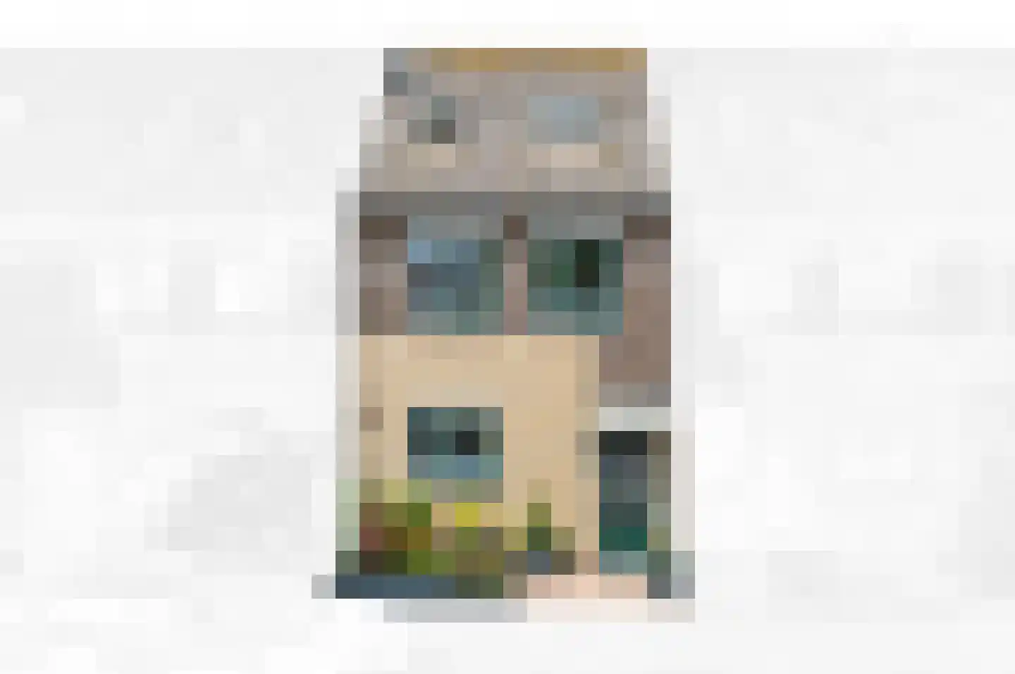 Dijkshoornseweg 69 Den Hoorn thumbnail 6
