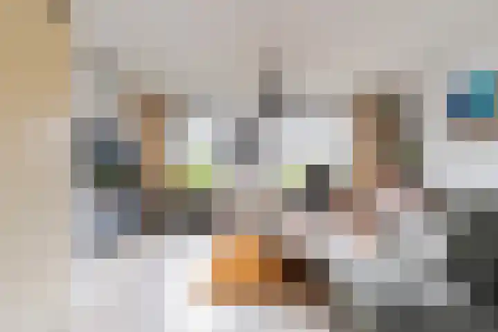 Dijkshornhof 8 Tilburg thumbnail 17