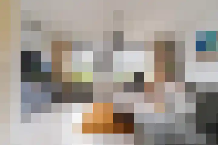 Dijkshornhof 8 Tilburg thumbnail 18