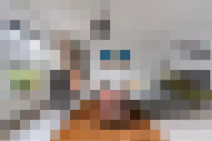 Dijkshornhof 8 Tilburg thumbnail 19