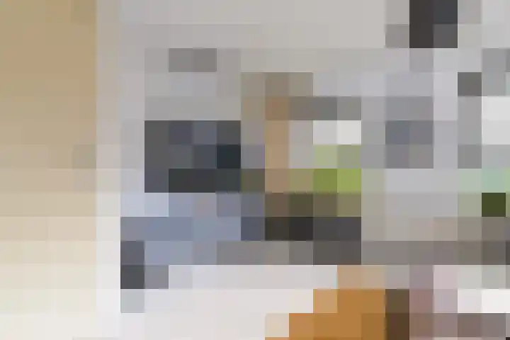 Dijkshornhof 8 Tilburg thumbnail 20
