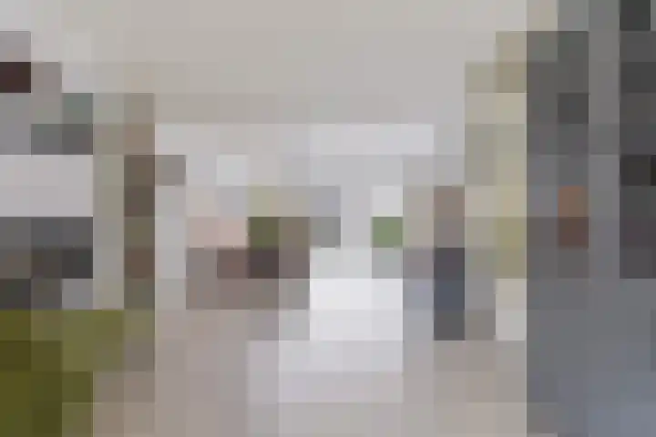 Dijkshornhof 8 Tilburg thumbnail 22