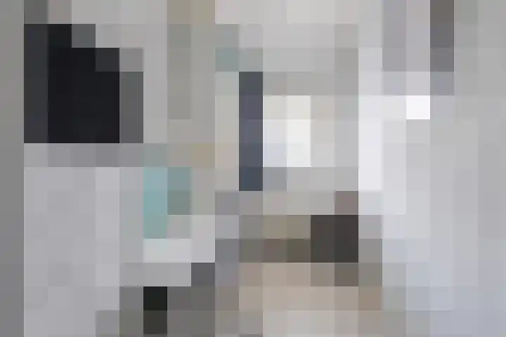 Dijkshornhof 8 Tilburg thumbnail 32