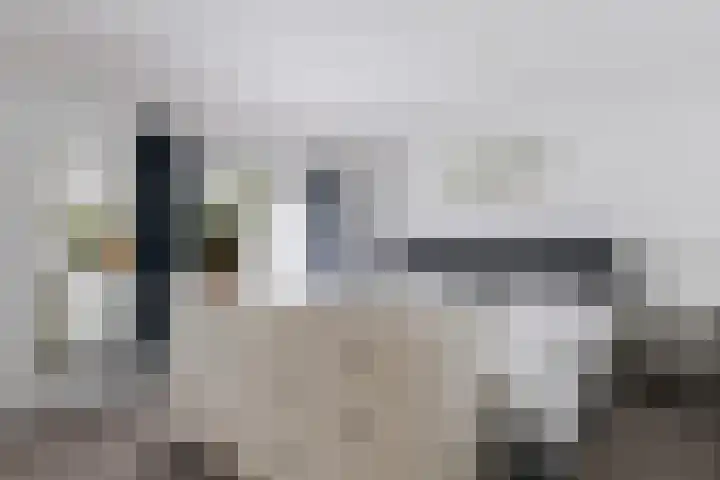 Dijkshornhof 8 Tilburg thumbnail 45
