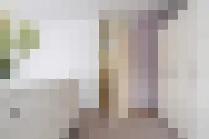 Dijkshornhof 8 Tilburg thumbnail 49