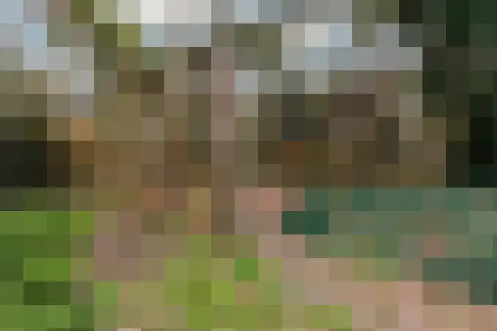 Dijkshornhof 8 Tilburg thumbnail 54