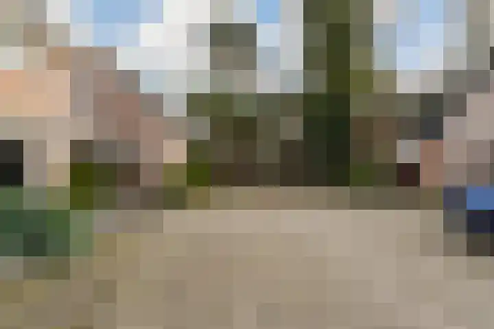 Dijkshornhof 8 Tilburg thumbnail 8