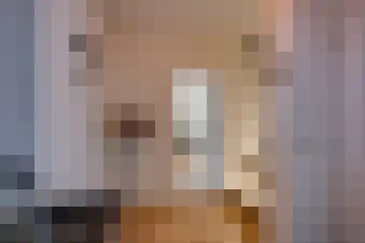 Dijkshornhof 9 Tilburg thumbnail 12