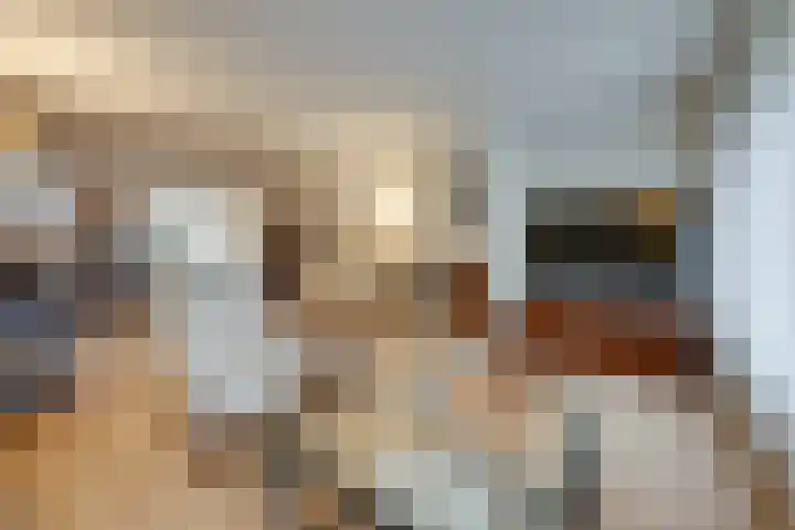 Dijkshornhof 9 Tilburg thumbnail 15