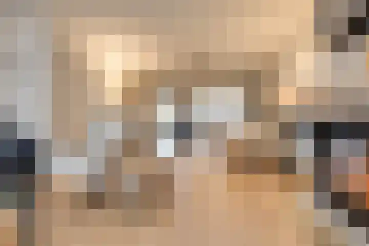 Dijkshornhof 9 Tilburg thumbnail 16