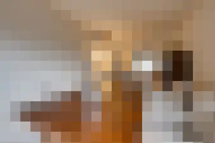 Dijkshornhof 9 Tilburg thumbnail 20