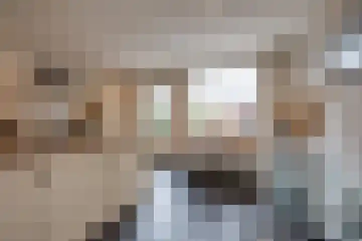 Dijkshornhof 9 Tilburg thumbnail 21