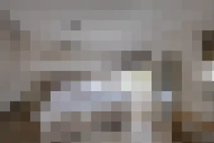 Dijkshornhof 9 Tilburg thumbnail 27