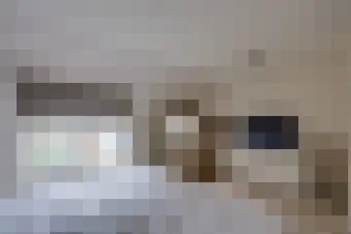 Dijkshornhof 9 Tilburg thumbnail 29