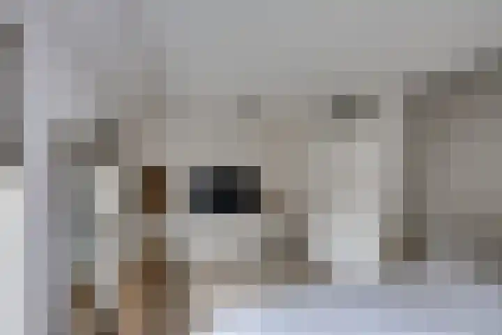 Dijkshornhof 9 Tilburg thumbnail 30
