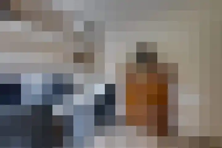 Dijkshornhof 9 Tilburg thumbnail 32