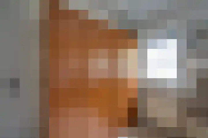 Dijkshornhof 9 Tilburg thumbnail 33
