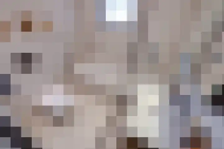 Dijkshornhof 9 Tilburg thumbnail 34