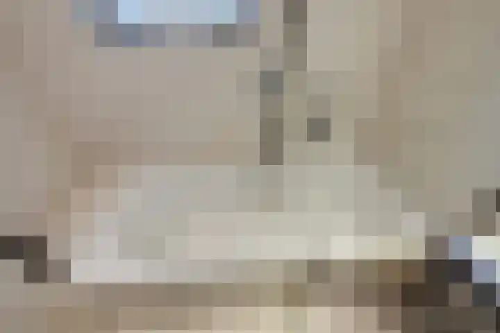 Dijkshornhof 9 Tilburg thumbnail 36