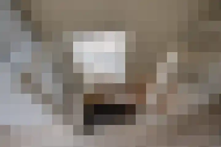 Dijkshornhof 9 Tilburg thumbnail 38